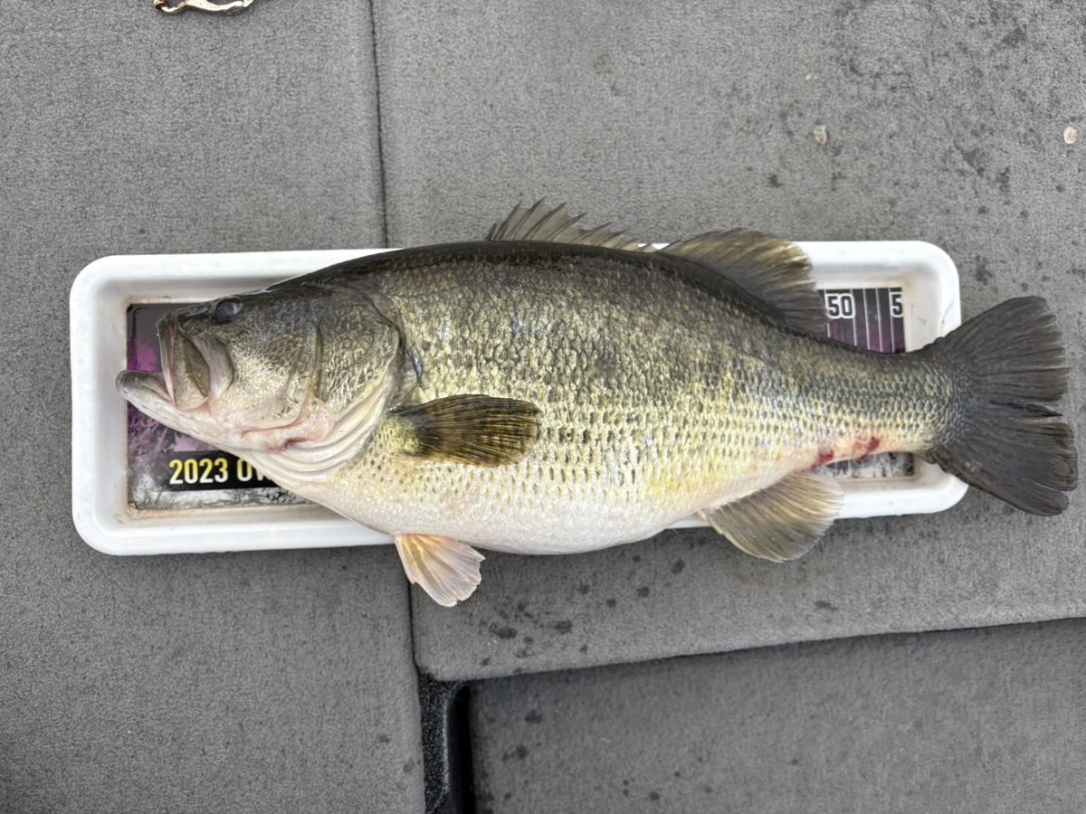 賀来聡介 tweet media