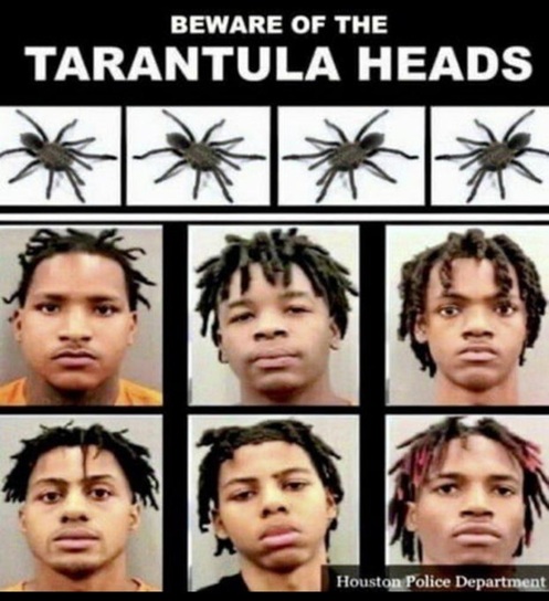 Jack Ryan tweet media