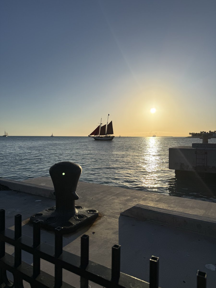 tΞ𝕏tyLΞ tweet media