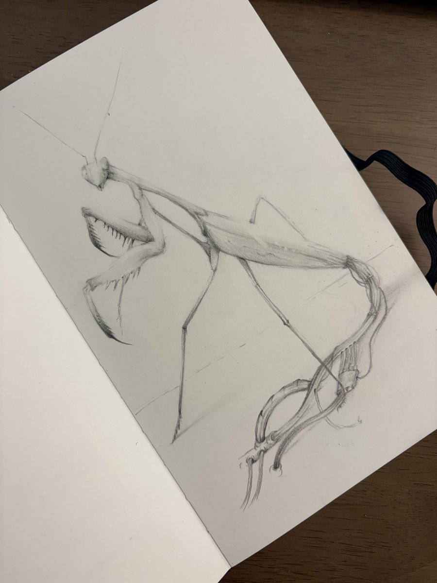 Fernando 🪩 tweet media