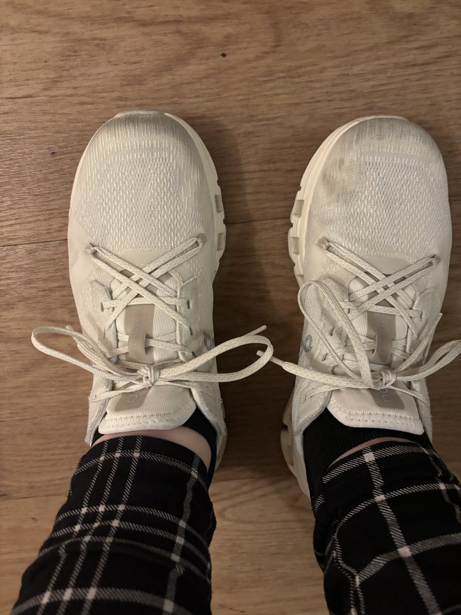 dorothy shestak tweet media