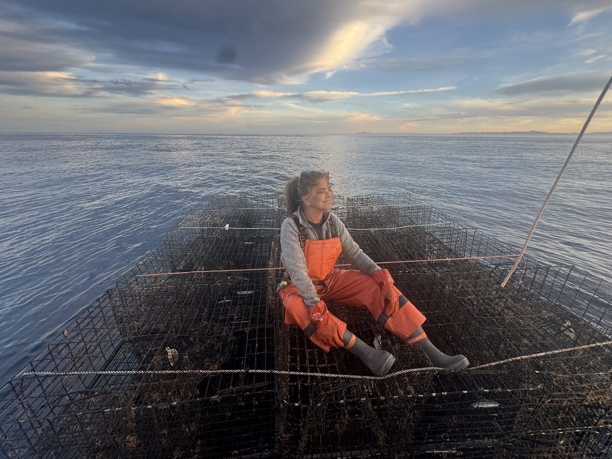 kathy ireland tweet media