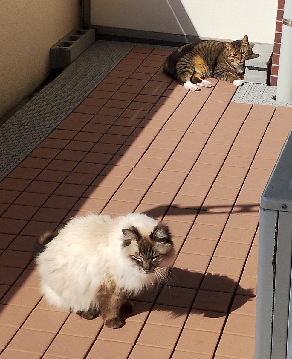 🍻のすけ…凹○💦ズコッ tweet media