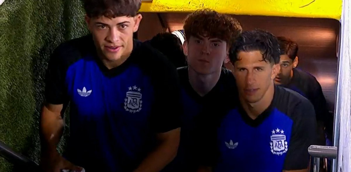 Nico Ambrogi tweet media