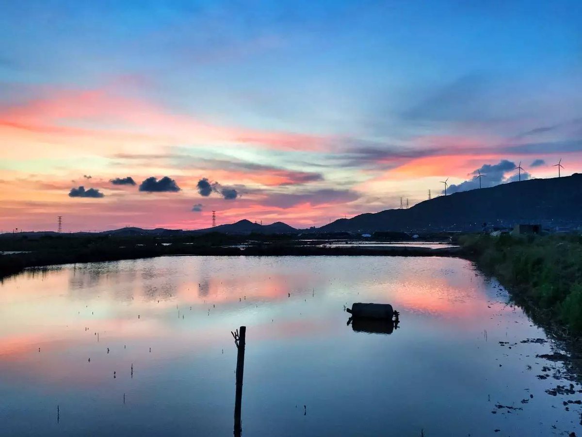 Nguoi Xa La tweet media