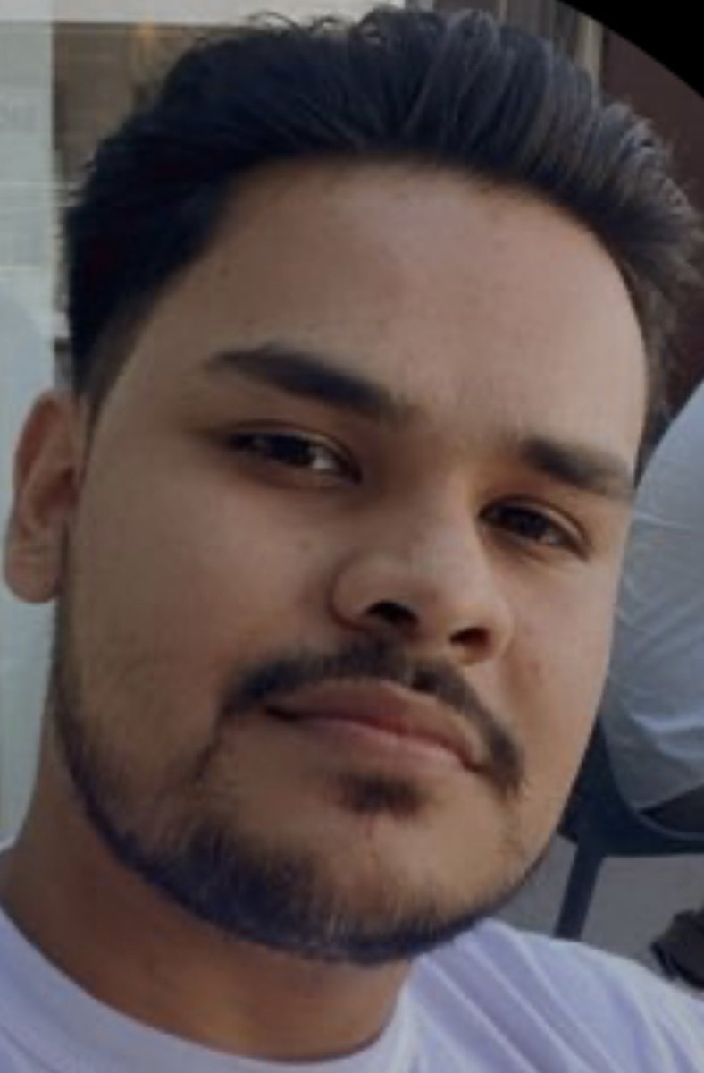 aflockofsegels tweet media