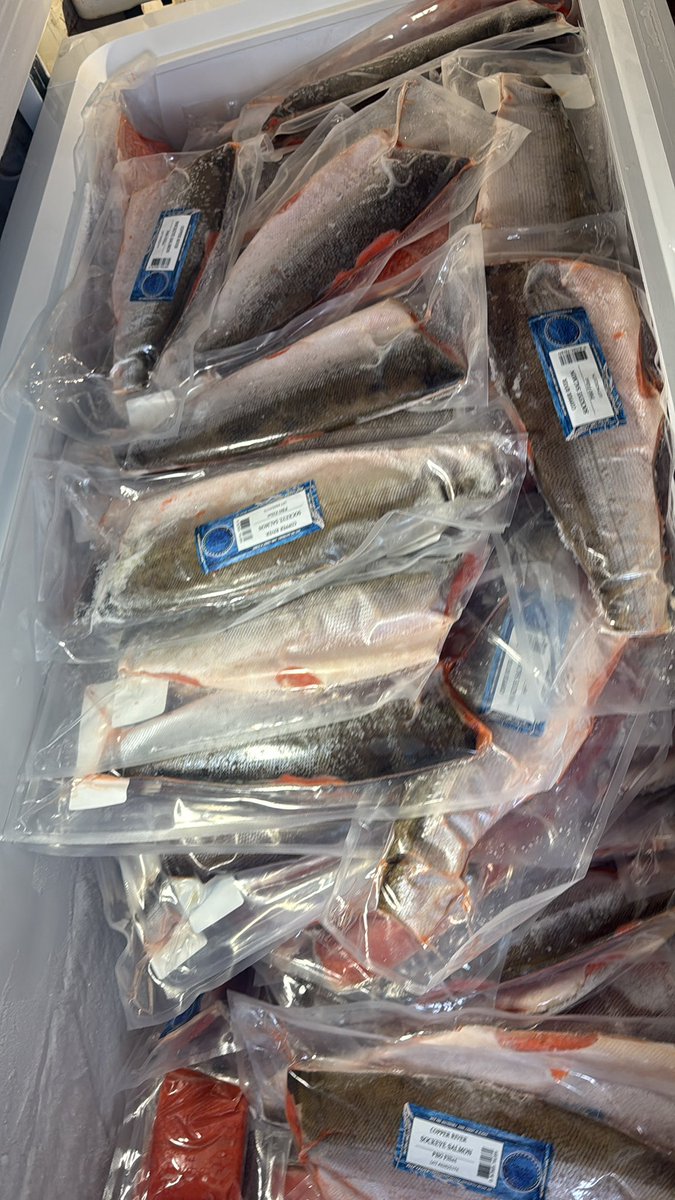 Captain_Off_Grid tweet media