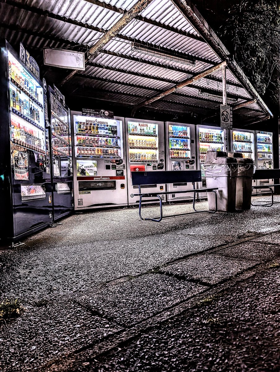 茨城　はぐれ猿🐒 tweet media