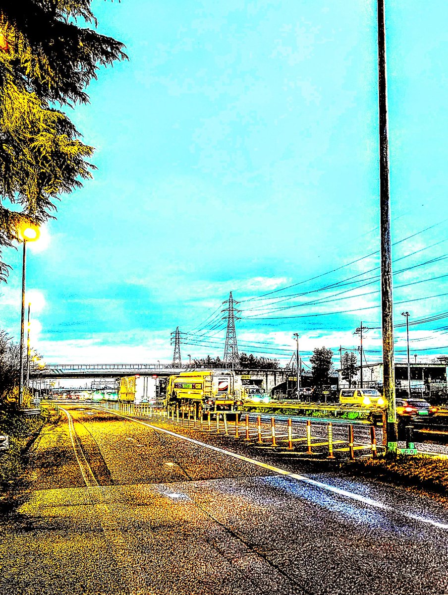 茨城　はぐれ猿🐒 tweet media