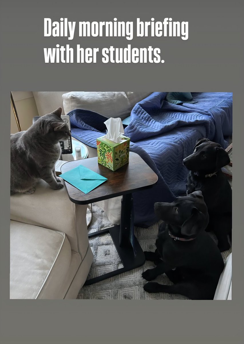 Chris D. Jackson tweet media