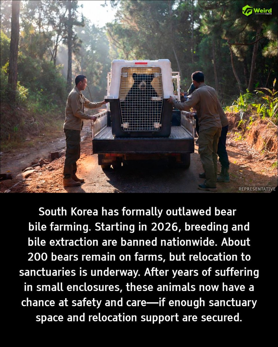 Weird Facts tweet media