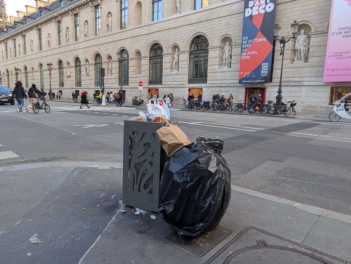 Boris Mouse 🐭 tweet media