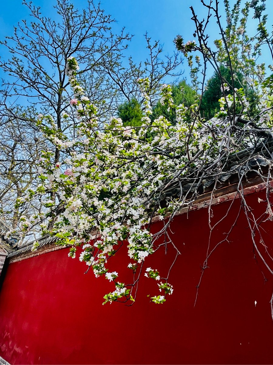 Dan Wegner tweet media