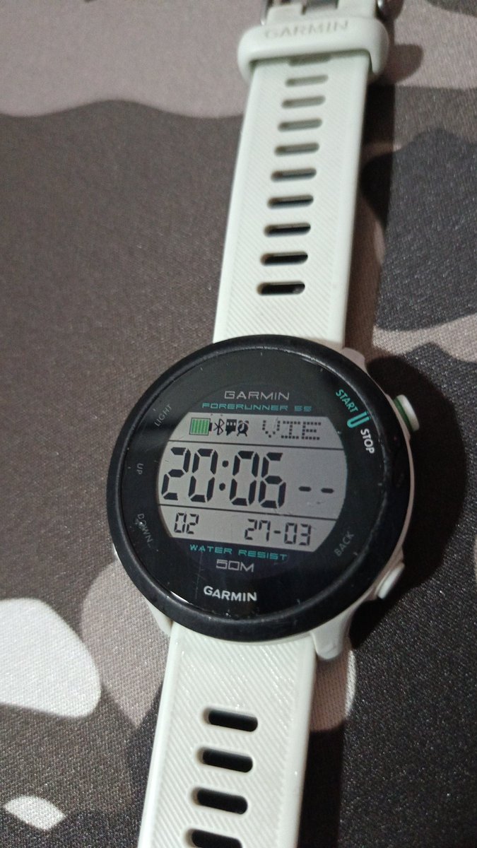 Tesla en Argentina 2043 tweet media