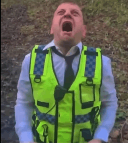 LocalHuman tweet media