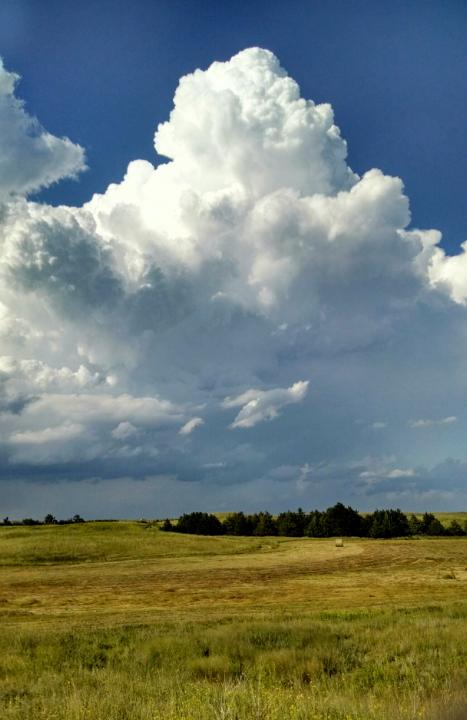 Barbara Cooksley tweet media