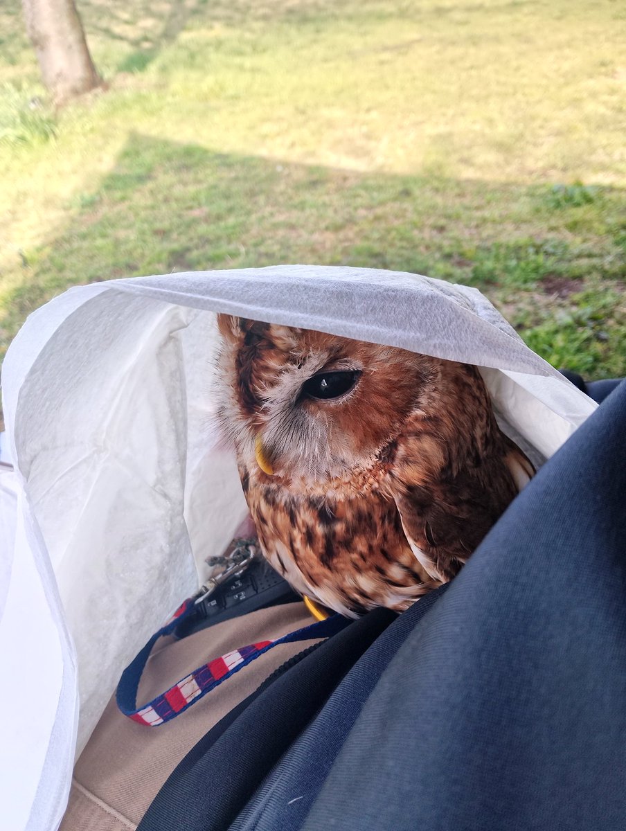 めにはにを tweet media