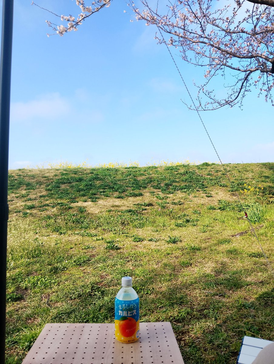 めにはにを tweet media