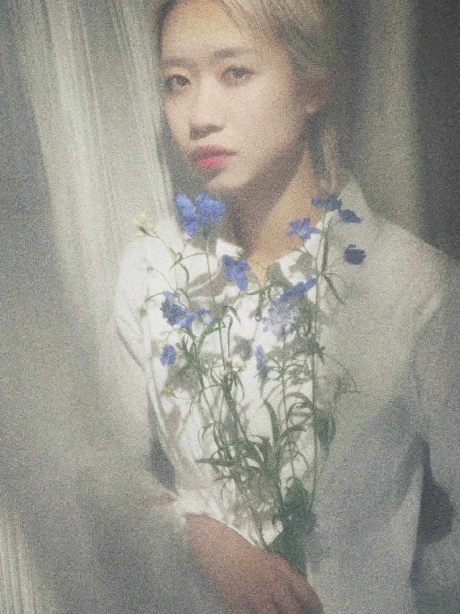 setsukoyuragi's tweet image. 今日の #vogue 風💐

今日はre:miawのライブだよ！