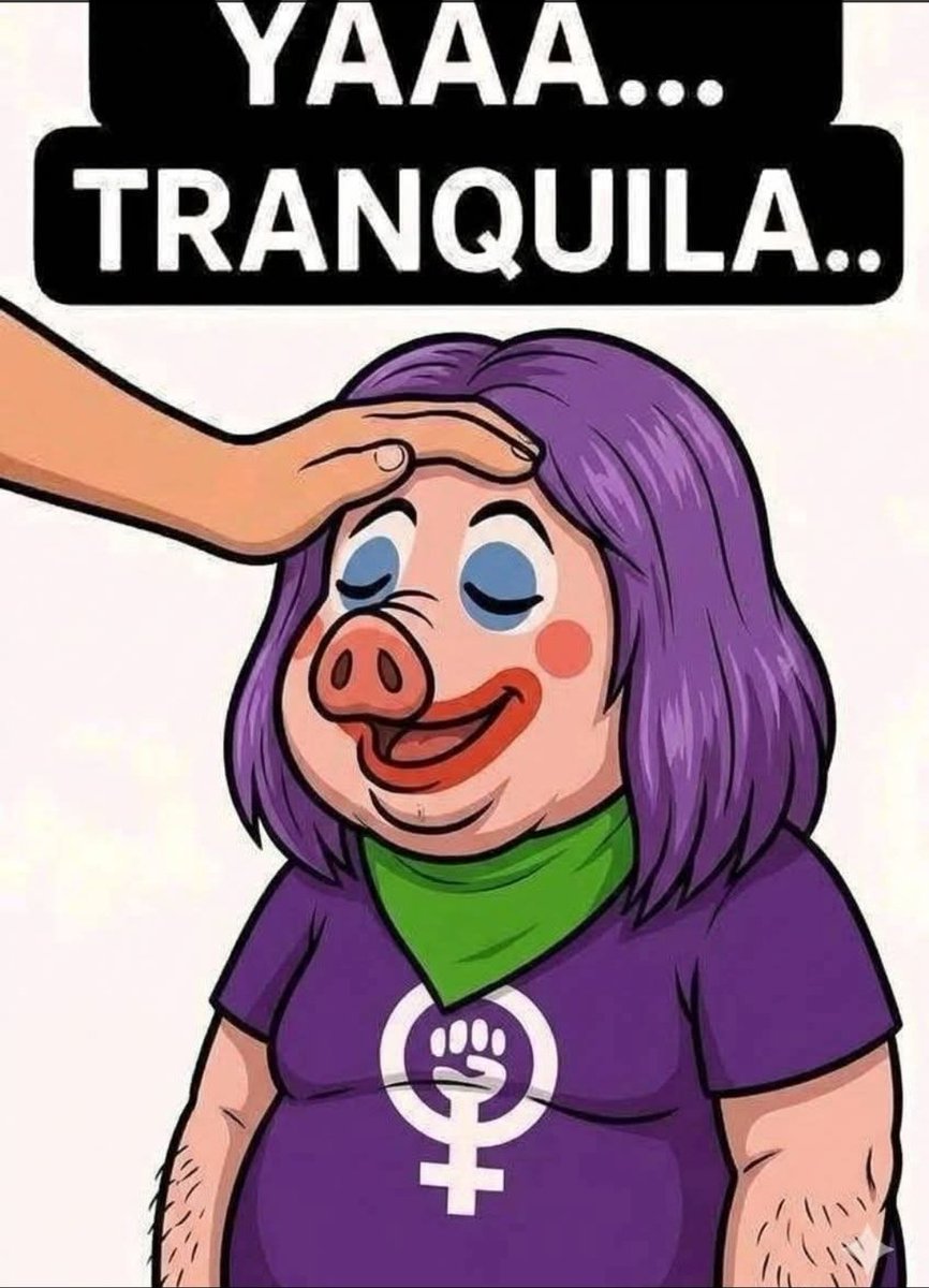 Predilecto tweet media