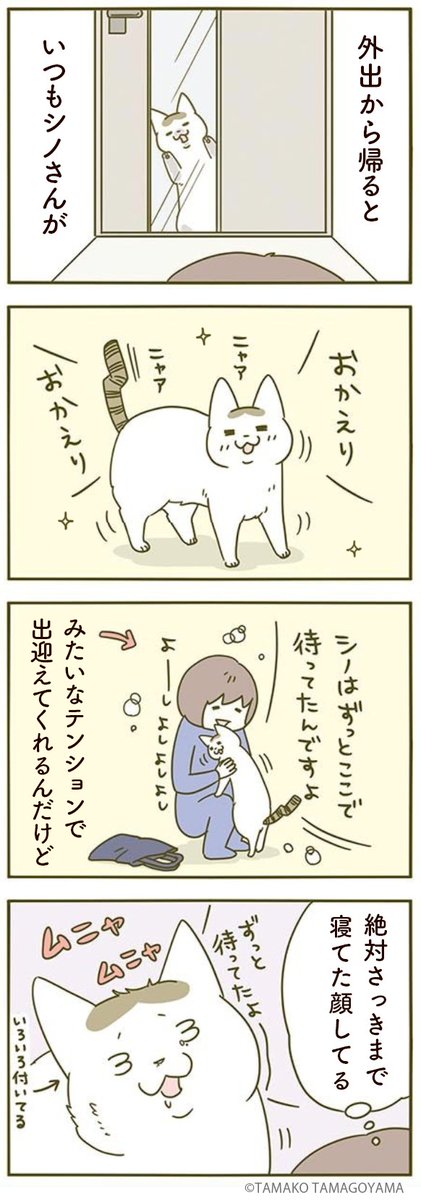 待ってた!!🐱 