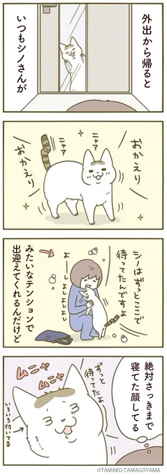 待ってた!!🐱 