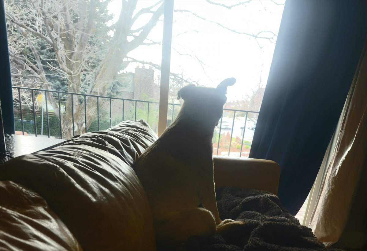 itsfarnow🏴 tweet media