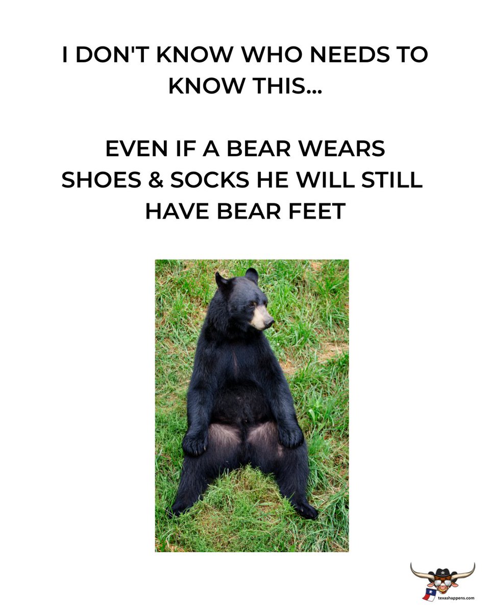 TXHappens's tweet image. Y'all this is true... think about it 🤣🤣🤣
#bear #feet #joke badjoke #dadjoke