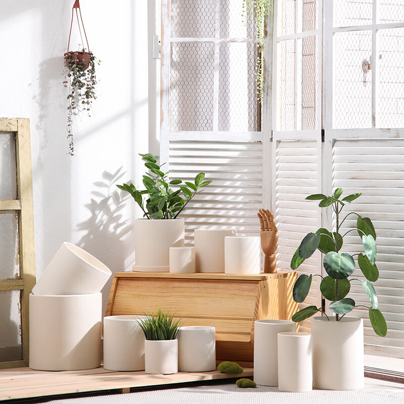 king ❤️yousef tweet media