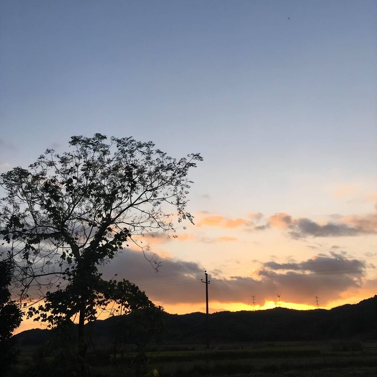 areyoureallyserious tweet media