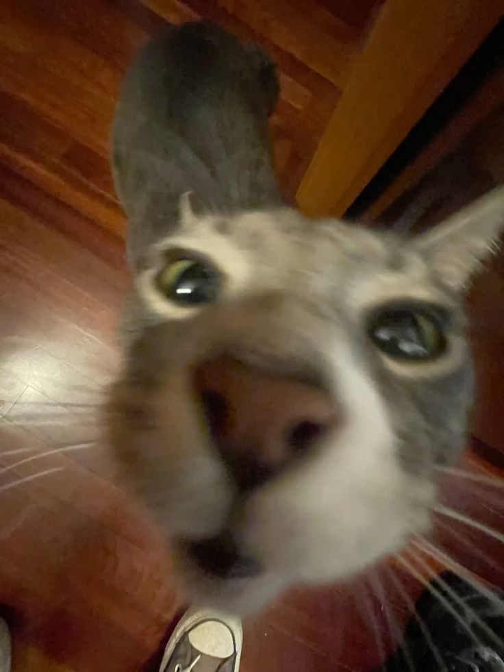 Brandon ッ tweet media