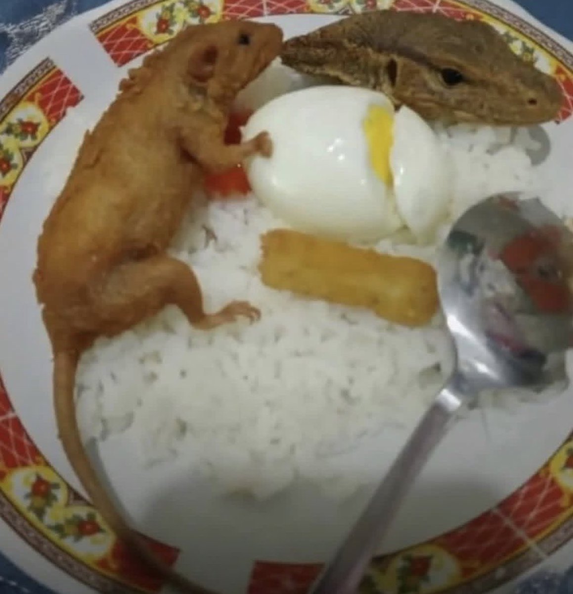 beaba verde lesbico tweet media