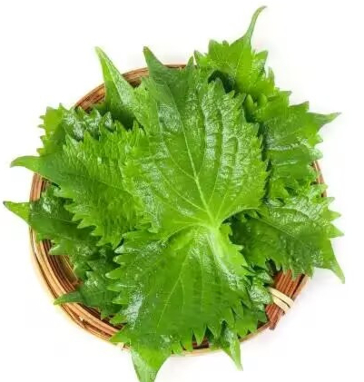 ROCIO MACIEL tweet media