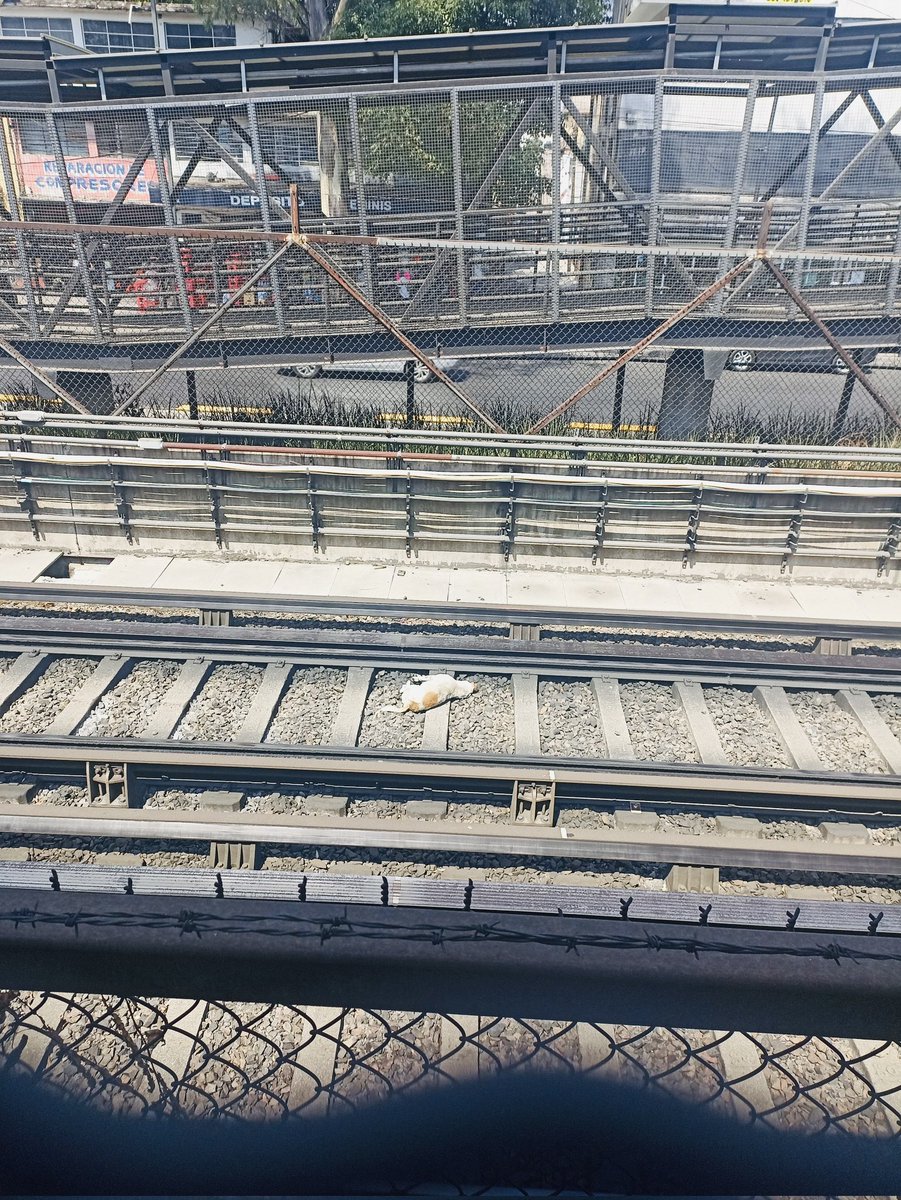 (Kizmar) tweet media