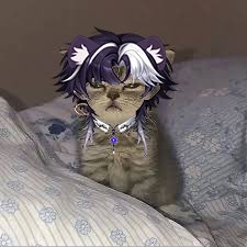 Kaero ✨⚛️ tweet media