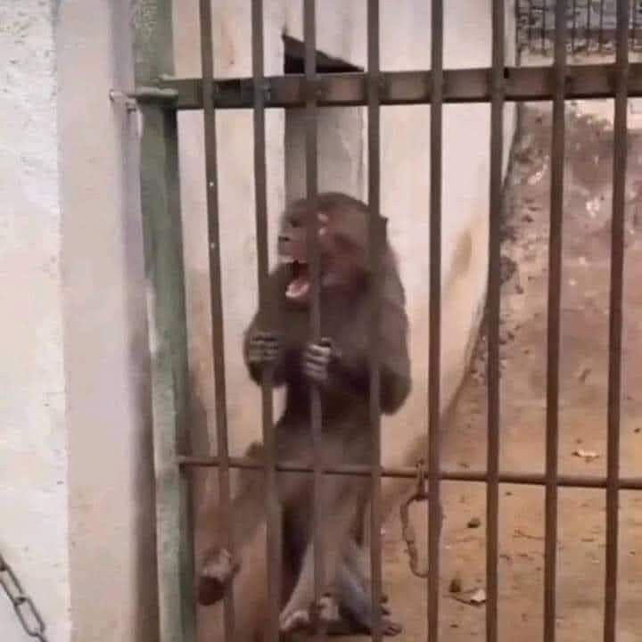 Bloqueando las historias de pal norte estos 3 días