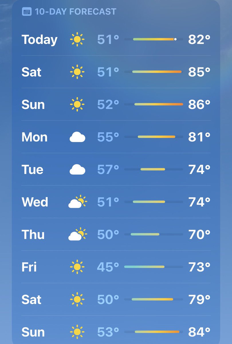 todd bonzalez tweet media