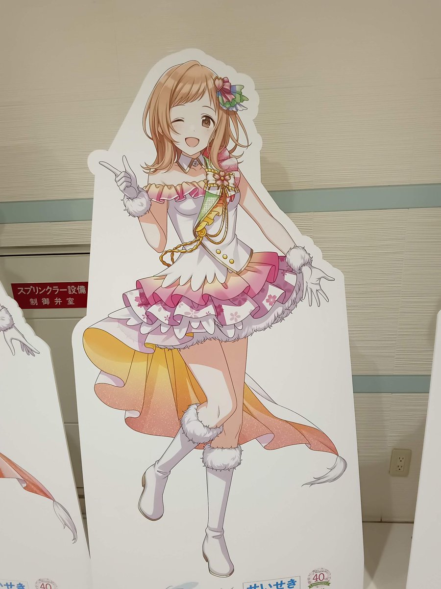 秋沢義春🪽🍫🫧 tweet media