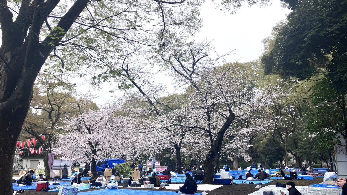 池之端根津子 tweet media