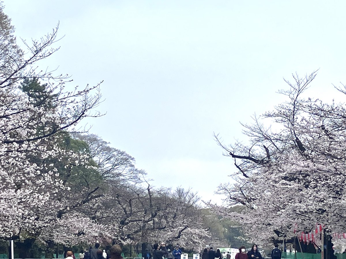 池之端根津子 tweet media