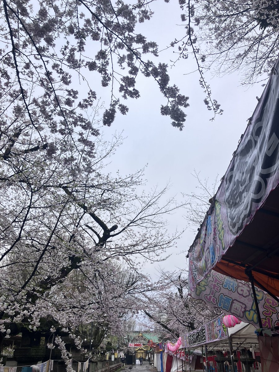 池之端根津子 tweet media