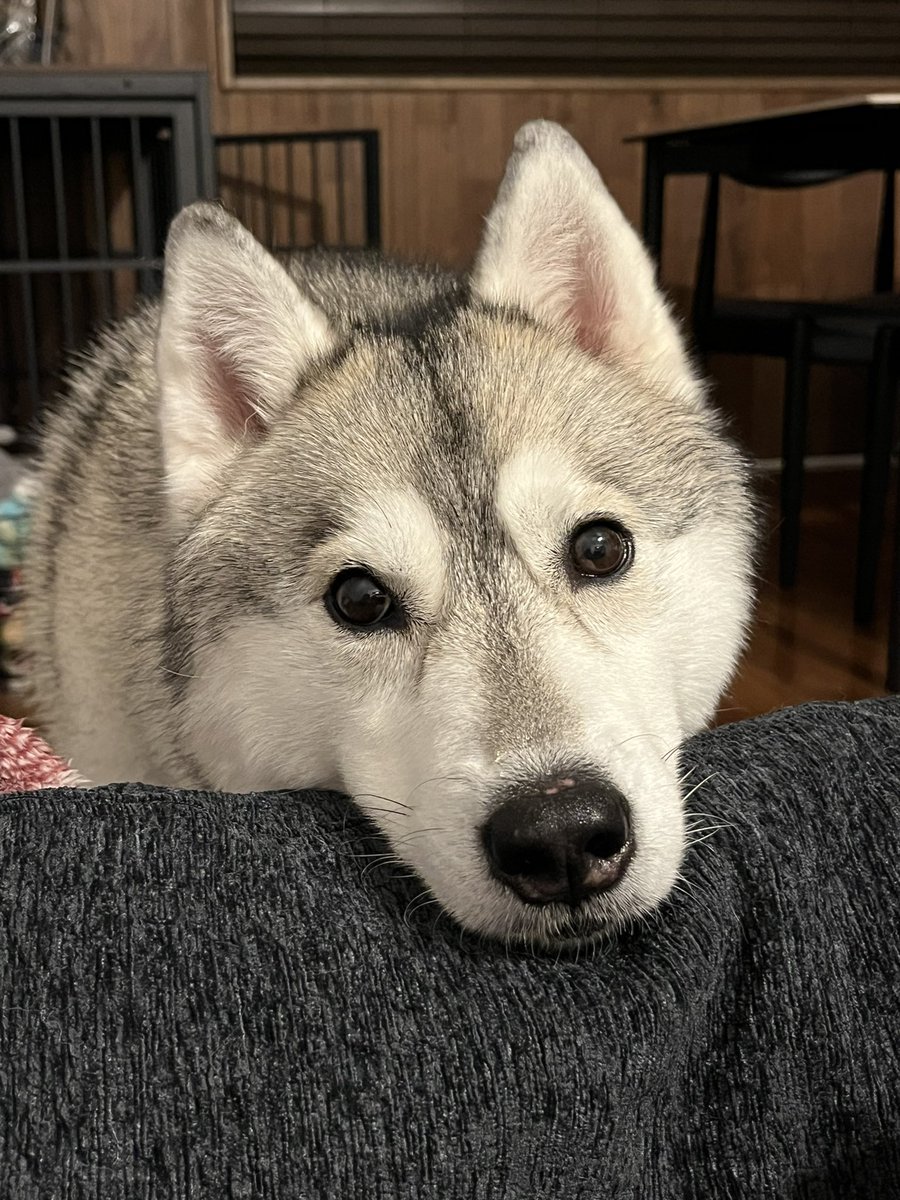 まつり tweet media