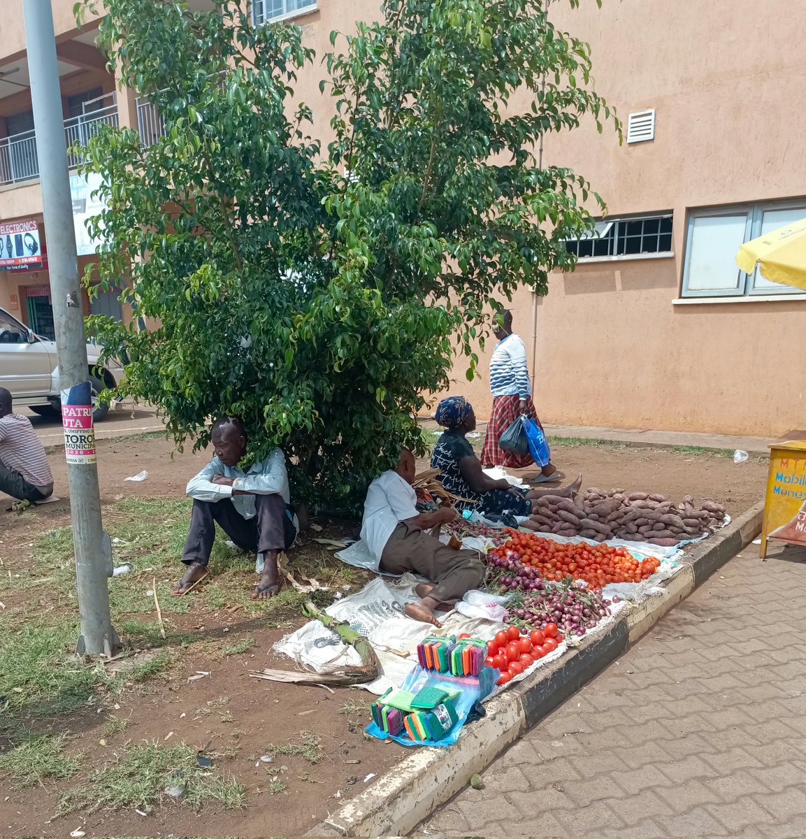 ayowecca_uganda's tweet image. In 2023 @gitcoin through @climate_program  funded trees we donated &amp;amp; planted in Tororo city as sample, Today women trade their food stuffs &amp;amp; commodities under it, #fundwhatmatters we'v just planted another 1k visit in a year to tell a story #Refi #climateStrike #Nature #EarthDay