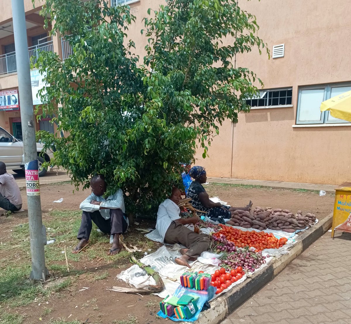 ayowecca_uganda's tweet image. In 2023 @gitcoin through @climate_program  funded trees we donated &amp;amp; planted in Tororo city as sample, Today women trade their food stuffs &amp;amp; commodities under it, #fundwhatmatters we'v just planted another 1k visit in a year to tell a story #Refi #climateStrike #Nature #EarthDay