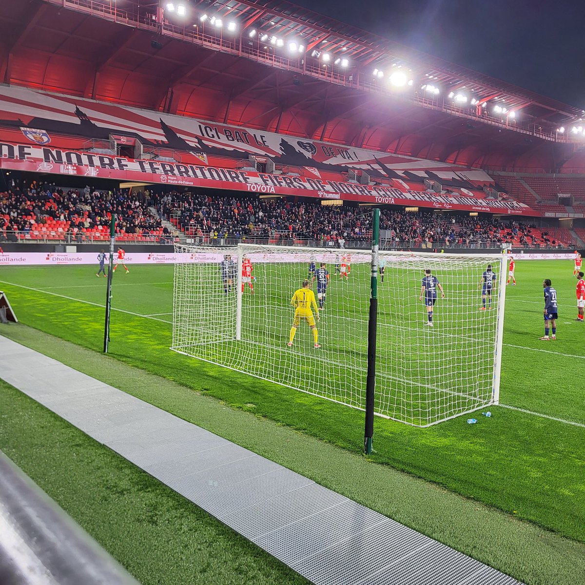 Negninorg tweet media