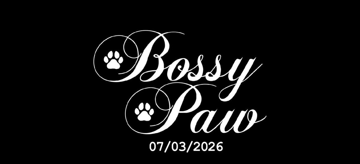 BossyPawProductions tweet media