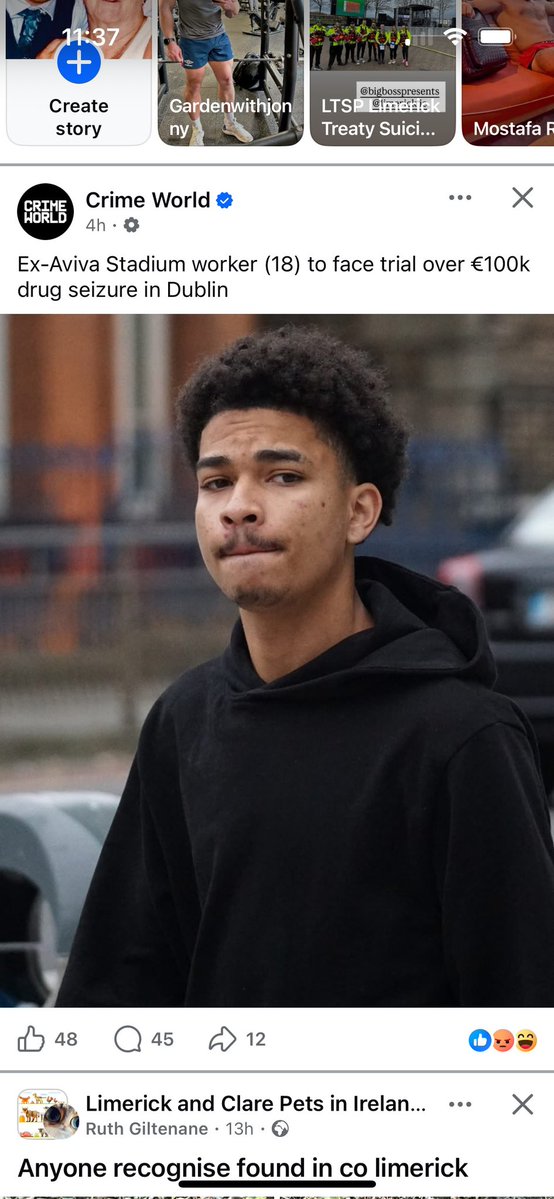 Daniel Ryan.🇮🇪 tweet media