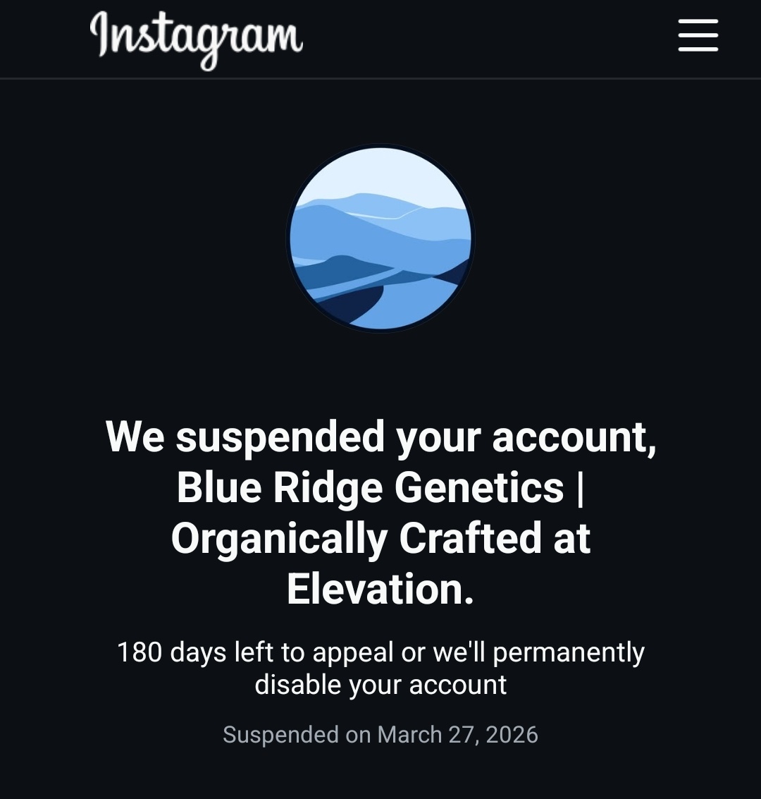 Blue Ridge Genetics tweet media