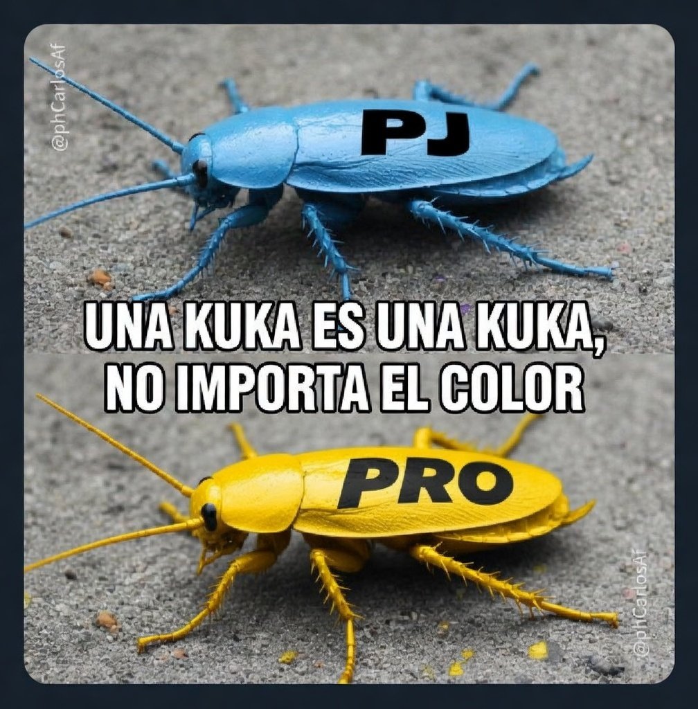 GALLARDISTA PARA SIEMPRE E HINCHA DE RIVER PLATE!! tweet media