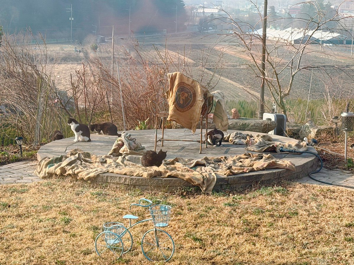 몽상가의 정원🌷 tweet media